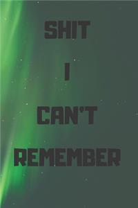 Shit I Can't Remember