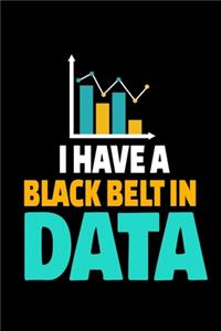 I Have A Blackbelt In Data