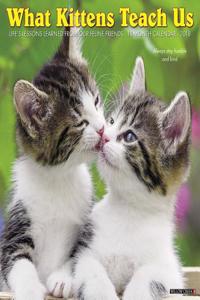 What Kittens Teach Us 2018 Wall Calendar