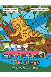 Can You Identify The Image Color By Number Book