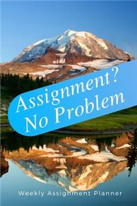 Assignment? No Problem