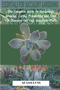 Essentials for Succulent Gardening