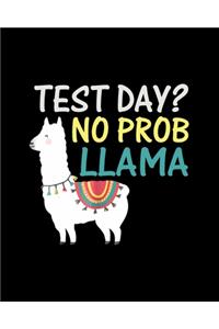 Test Day No Prob Llama