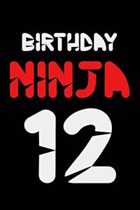 Birthday Ninja 12
