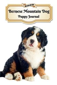 2020 Bernese Mountain Dog Puppy Journal