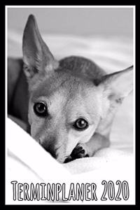 Terminplaner 2020