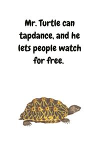 Mr. Turtle