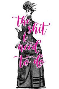 2019 Daily Planner Shit I Need To Do Funny Saying Victorian Lady 384 Pages