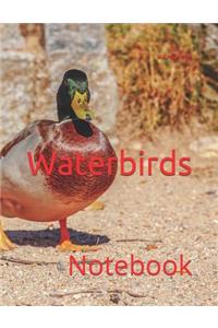 Waterbirds