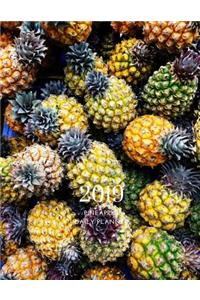 2018 2019 Pineapple 15 Months Daily Planner