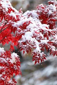 2019 Daily Planner Japanese Maple Winter Snow 384 Pages