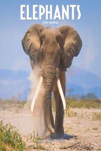 Elephants Calendar 2018