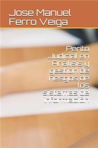 Perito Judicial en Análisis y gestión de riesgos de los sistemas de información