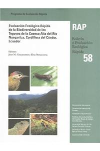 Evaluación Ecológica Rápida de la Biodiversidad de los Tepuyes de la Cuenca Alta del Río Nangaritza, Cordillera del Cóndor, Ecuador (A Rapid Biological Assessment of the Tepui