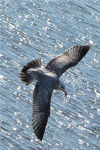 A Seagull Sailing Over the Sea Journal