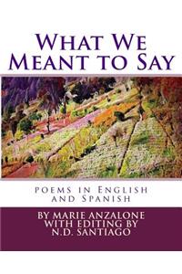 What We Meant to Say