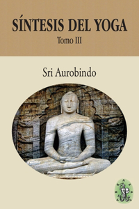Síntesis del Yoga - Tomo III