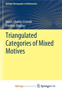 Triangulated Categories of Mixed Motives