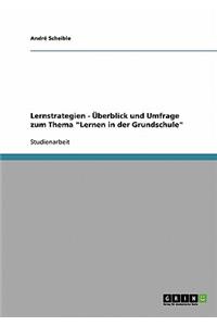 Lernstrategien - Überblick und Umfrage zum Thema 