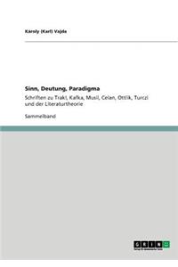 Sinn, Deutung, Paradigma