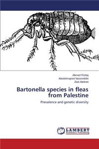 Bartonella species in fleas from Palestine