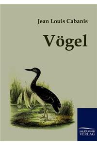 Vögel