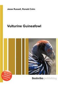 Vulturine Guineafowl