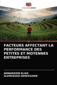 Facteurs Affectant La Performance Des Petites Et Moyennes Entreprises