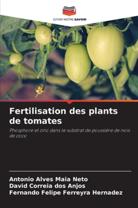 Fertilisation des plants de tomates