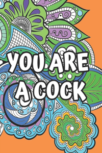 You Are A Cock