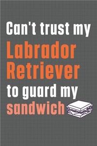Can't trust my Labrador Retriever to guard my sandwich