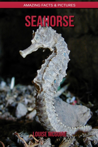 Seahorse: Amazing Facts & Pictures