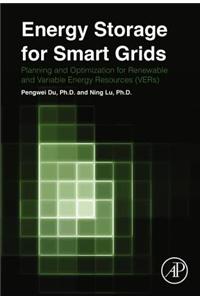 Energy Storage for Smart Grids