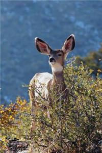 Kids Deer Journal