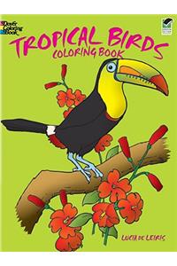 Tropical Birds