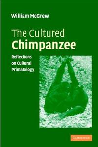 Cultured Chimpanzee