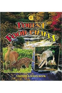 Forest Food Chains
