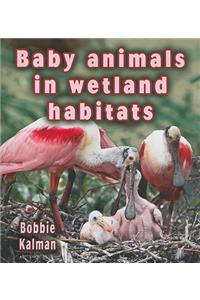 Baby Animals in Wetland Habitats