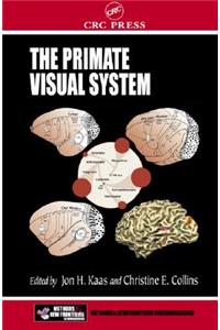 Primate Visual System