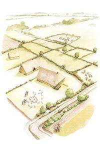 The Rural Settlement of Roman Britain