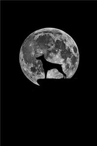 Doberman and moon