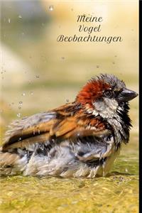 Meine Vogel Beobachtungen