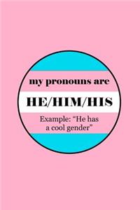 My Pronouns Are He/Him/His Example