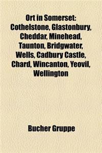 Ort in Somerset: Cothelstone, Glastonbury, Cheddar, Minehead, Taunton, Bridgwater, Wells, Cadbury Castle, Chard, Wincanton, Yeovil, Wellington