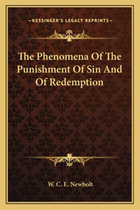 The Phenomena of the Punishment of Sin and of Redemption