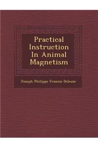 Practical Instruction in Animal Magnetism
