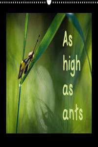 As High as Ants 2017