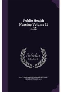 Public Health Nursing Volume 11 N.12