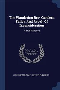 The Wandering Boy, Careless Sailor, And Result Of Inconsideration