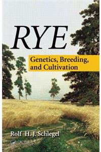 Rye
